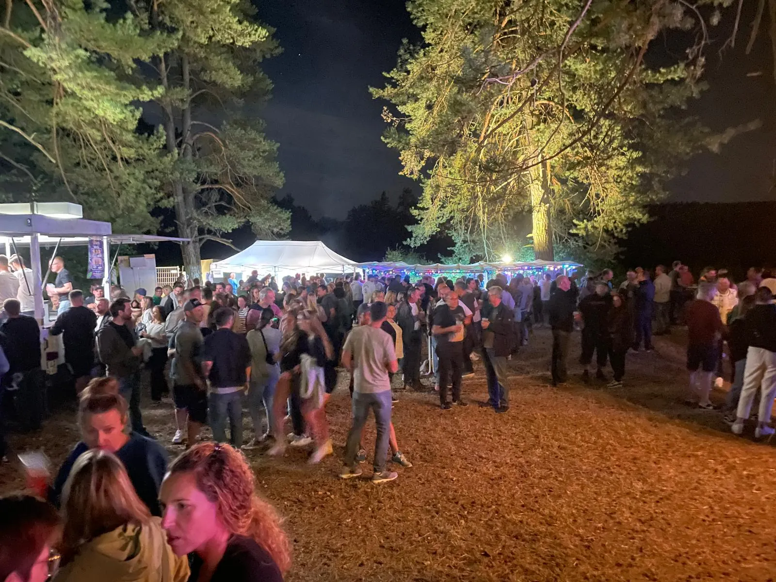Gelände und Feiernde beim 3 Tages Fest